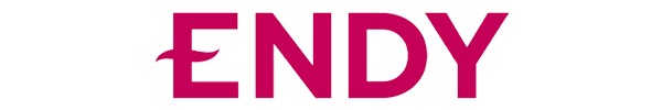 Image of the Endy logo.